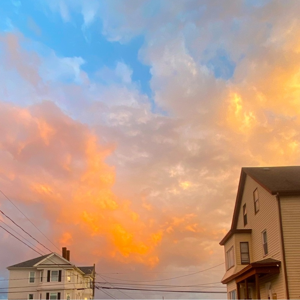 Meet your Posher, Halle